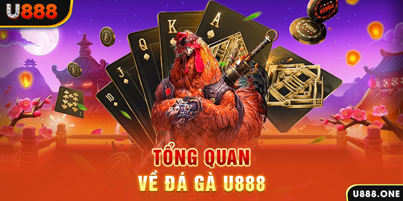 Tổng quan về Đá Gà U888